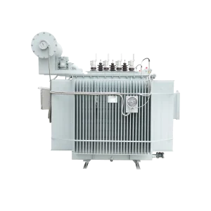 Oil-immersed Transformer